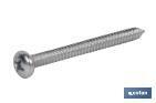 TORNILLO DIN 7983 GOTA