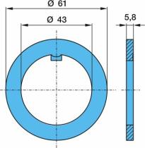 BPW 0332073130 - ARANDELA 43/61X5,8 8T ECO