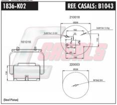 CASALS B1043 - SUSPENSION NEUMATICA DAF 2 TOMAS