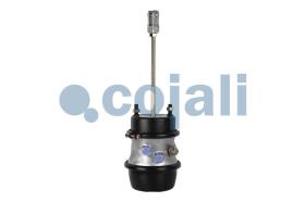 Cojali 2251426 - Cilindro combinado freno plataforma tambor 24/30