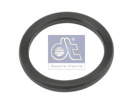 DT 211409 - Tórica
