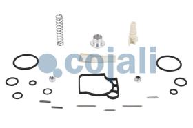 Cojali 6012249 - KIT DE REPARACIÓN VÁLVULA