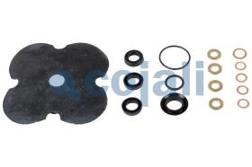 Cojali 6014151 - KIT DE REPARACIÓN VÁLVULA