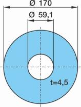 BPW 0332038290 - ARANDELA DE DESGASTE Ø170/4,5/Ø59,1