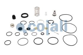 Cojali 6012152 - KIT DE REPARACIÓN VÁLVULA