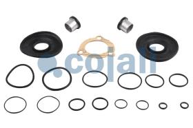 Cojali 6019042 - KIT DE REPARACIÓN VÁLVULA