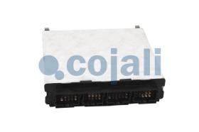 Cojali 350245 - UNIDAD CONTROL ELECTRONICO COMPUTADOR CENTRAL REMAN