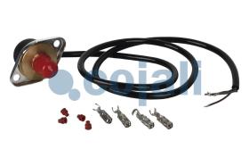 Cojali 2260281 - SENSOR DE TEMPERATURA