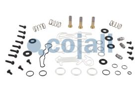 Cojali 6012279 - KIT DE REPARACION VALVULA