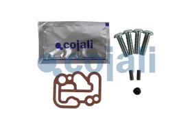 Cojali 6012298 - KIT DE REPARACIÓN VÁLVULA