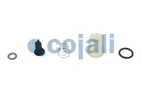 Cojali 6012178 - KIT DE REPARACIÓN VÁLVULA