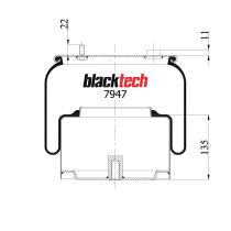 Black Tech RML7947C10 - FUELLE DAF AD1794420  836NP10