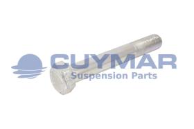 CUYMAR 9602420013010 - TORNILLO 24/200X130 960 10.9