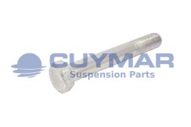 CUYMAR 9602420013510 - TORNILLO 24/200X135 960 10.9