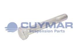 CUYMAR 9602420014510 - TORNILLO 24/200X145 960 10.9