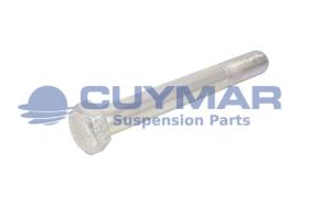 CUYMAR 9602420015010 - TORNILLO 24/200X150 960 C-10