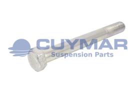 CUYMAR 9602420017010 - TORNILLO 24/200X170 960 C-10