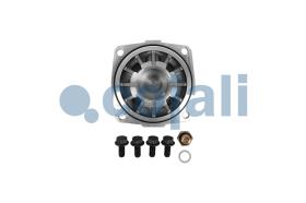 Cojali 25005039 - KIT DE REPARACIÓN DEL COMPRESOR