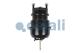Cojali 2851109 - CILINDRO COMBINADO 14/24 FRENO DE DISCO ROR DERECHO