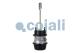 Cojali 2251426 - Cilindro combinado freno plataforma tambor 24/30