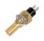 DT 111077 - Sensor de temperatura