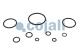 Cojali 6012250 - KIT DE REPARACIÓN VÁLVULA