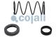 Cojali 6012253 - KIT DE REPARACIÓN VÁLVULA