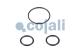Cojali 6014118 - KIT DE REPARACIÓN VÁLVULA