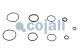 Cojali 6032129 - KIT DE REPARACIÓN SERVOEMBRAGUE