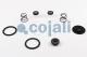 Cojali 6012094 - KIT DE REPARACIÓN VÁLVULA