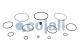 Cojali 6014051 - KIT DE REPARACIÓN VÁLVULA