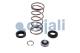 Cojali 6014106 - KIT DE REPARACIÓN VÁLVULA