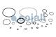 Cojali 6014147 - KIT DE REPARACIÓN VÁLVULA