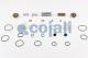 Cojali 6014460 - KIT DE REPARACIÓN VÁLVULA