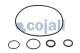 Cojali 6034025 - KIT DE REPARACIÓN SERVOEMBRAGUE