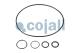 Cojali 6034030 - KIT DE REPARACIÓN SERVOEMBRAGUE