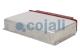 Cojali 350205 - UNIDAD CONTROL ELECTRONICO INTARDER REMAN