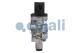 Cojali 2280121 - VÁLVULA CONTROL EJE ELEVABLE