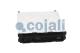 Cojali 350540 - UNIDAD CONTROL ELECTRONICO COMPUTADOR CENTRAL REMAN