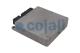 Cojali 350741 - UNIDAD CONTROL ELECTRONICO CAJA CAMBIOS REMAN