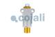 Cojali 2991144 - REGULADOR DE PRESIÓN