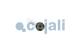 Cojali 2280111 - VÁLVULA SEGURIDAD