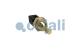 Cojali 2260948 - SENSOR TEMPERATURA COMBUSTIBLE