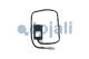 Cojali 2269032 - SENSOR NOX